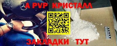 Альфа ПВП Малгобек