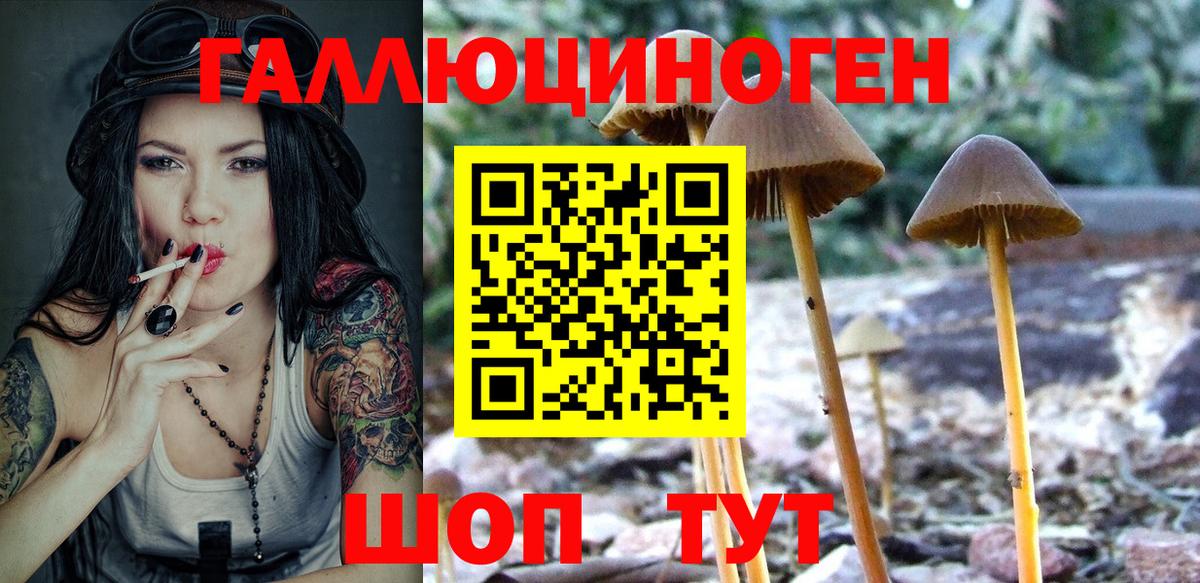 Псилоцибиновые грибы GOLDEN TEACHER  наркота  Вичуга  Вход с VPN 